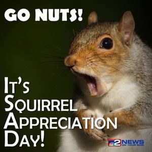 Meet your Posher, Billy